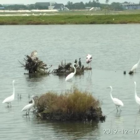 Hotel Bundala Park Weligatta 外观 照片